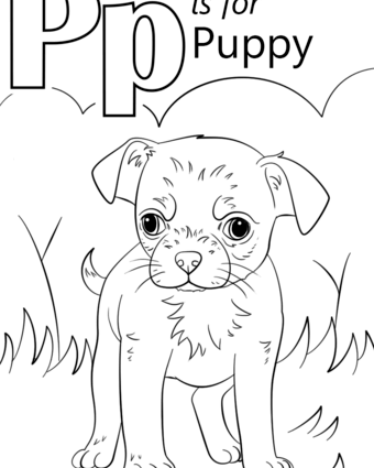 340x425 Preschool Coloring Pages Letter P