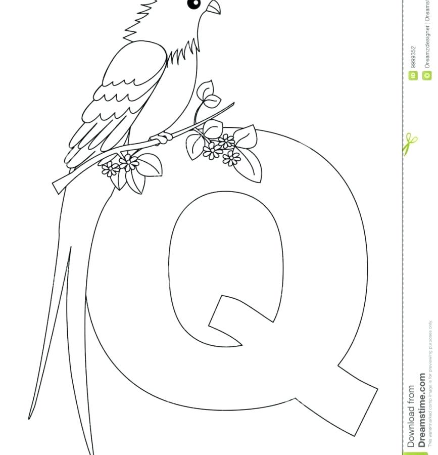 867x900 Letter Q Coloring Pages Alphabet Letter Q Coloring Page Free