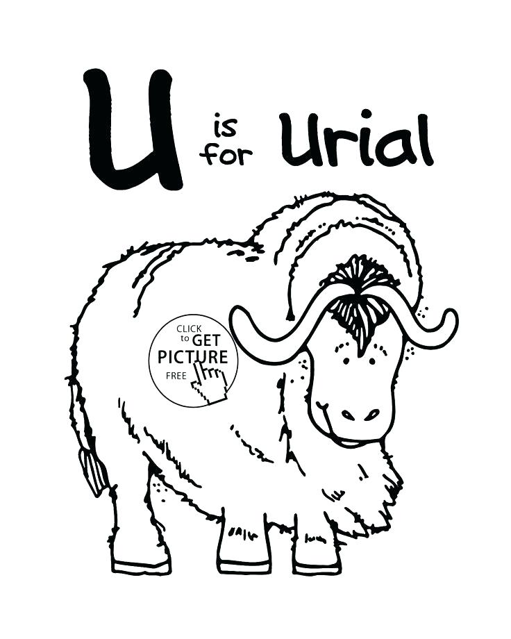 736x920 Letter U Coloring Page Together With Letter U Alphabet Coloring