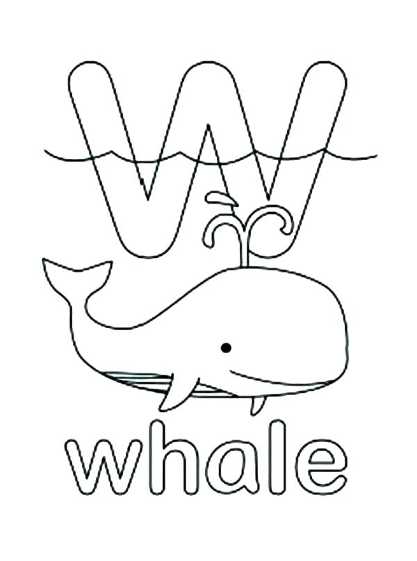 600x807 Walrus Coloring Page W Coloring Pages Walrus Coloring Pages Best