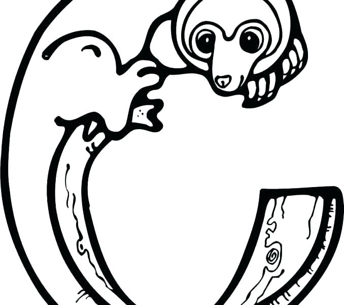 678x600 Letter X Coloring Page Letter X Coloring Page The Letter C