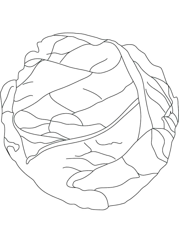 750x1000 Lettuce Coloring Page