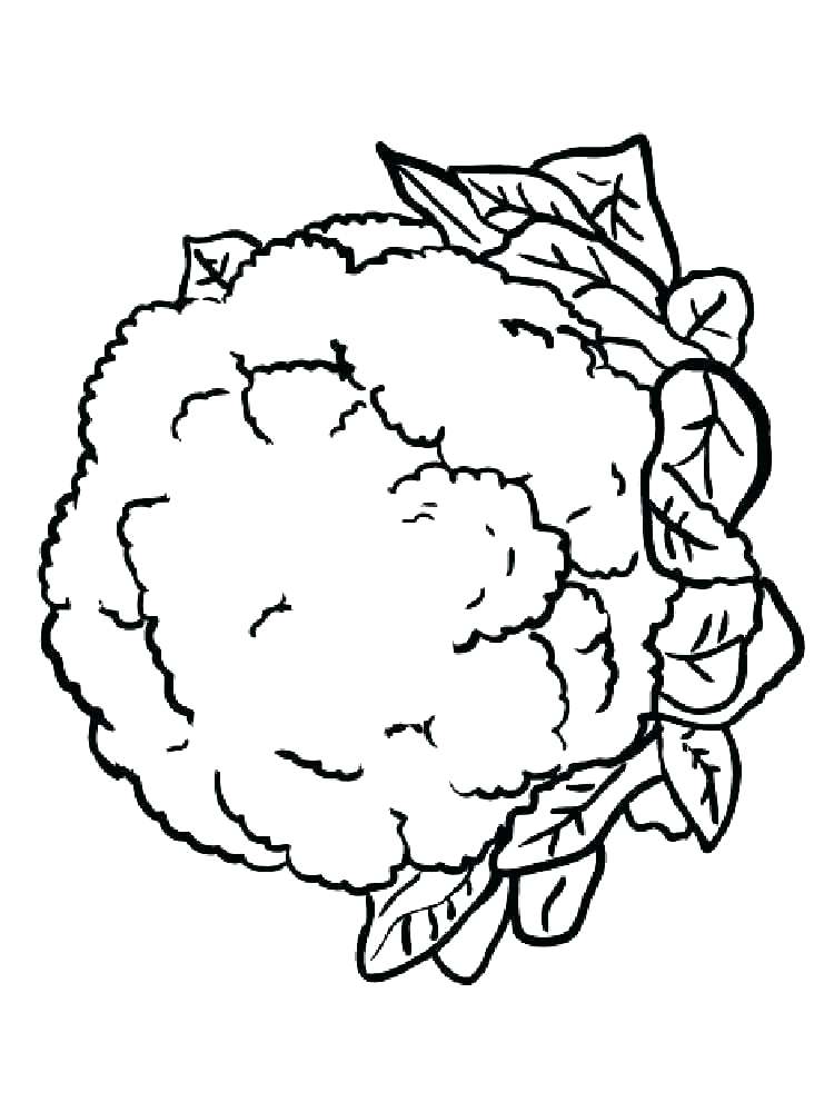 750x1000 Lettuce Coloring Page