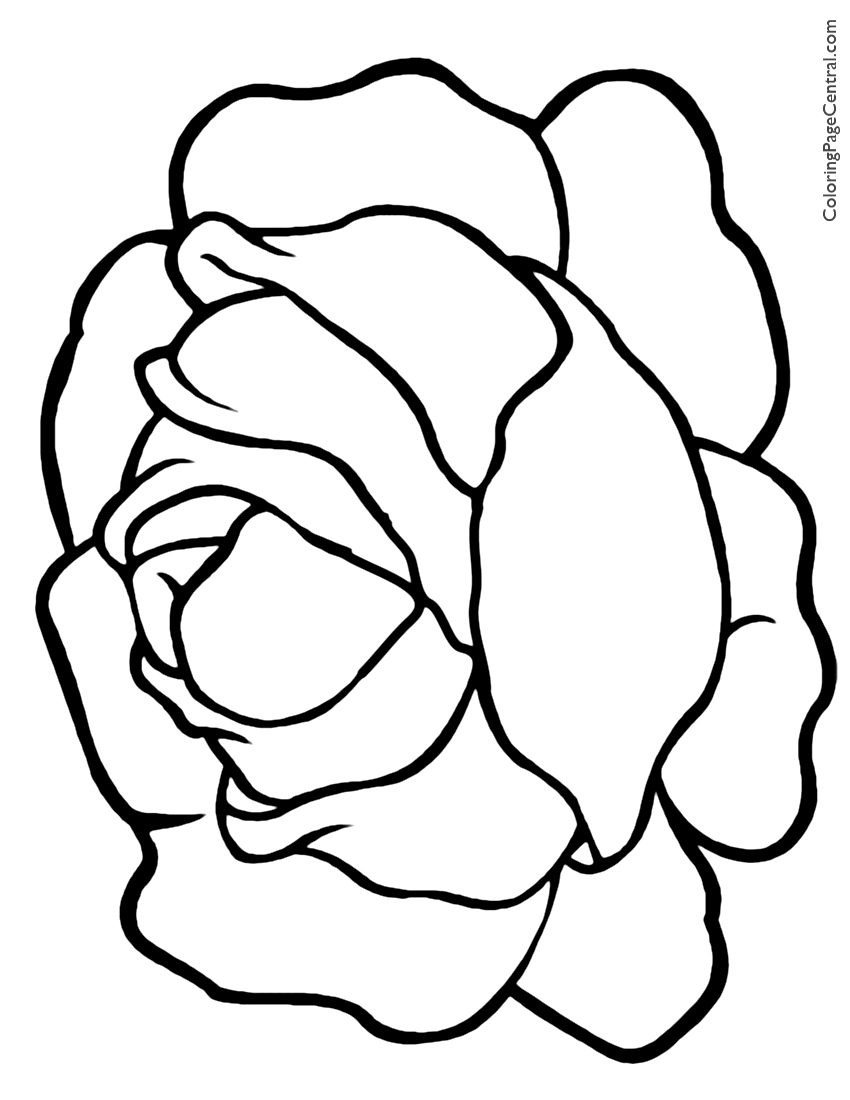 850x1100 Lettuce Coloring Page Coloring Page Central