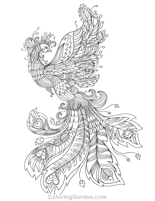 600x776 Free Adult Coloring Pages Page