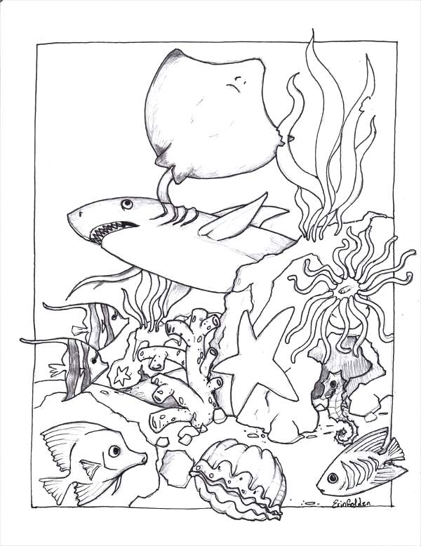 600x778 Marine Life Coloring Pages Free Sea Coloring Page Marine Life