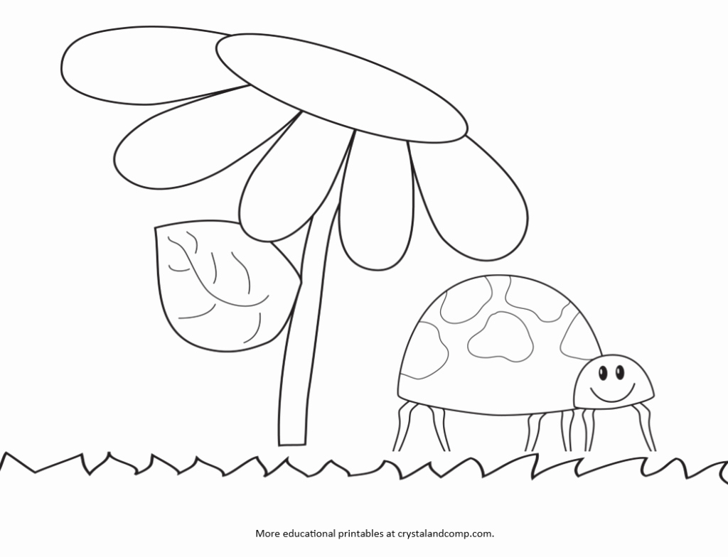1024x784 Coloring Pages Of Ladybug Gallery Kid Color Pages Ladybug Life