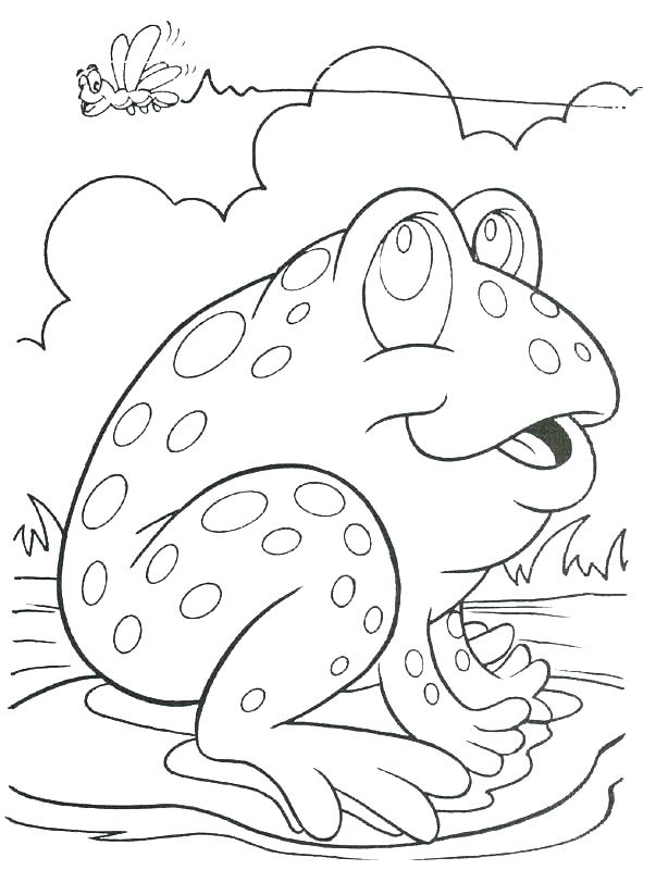 614x800 Frog Life Cycle Coloring Page Tadpole Coloring Page Best Frog Life