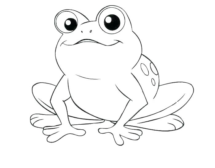 700x547 Frog Life Cycle Coloring Page