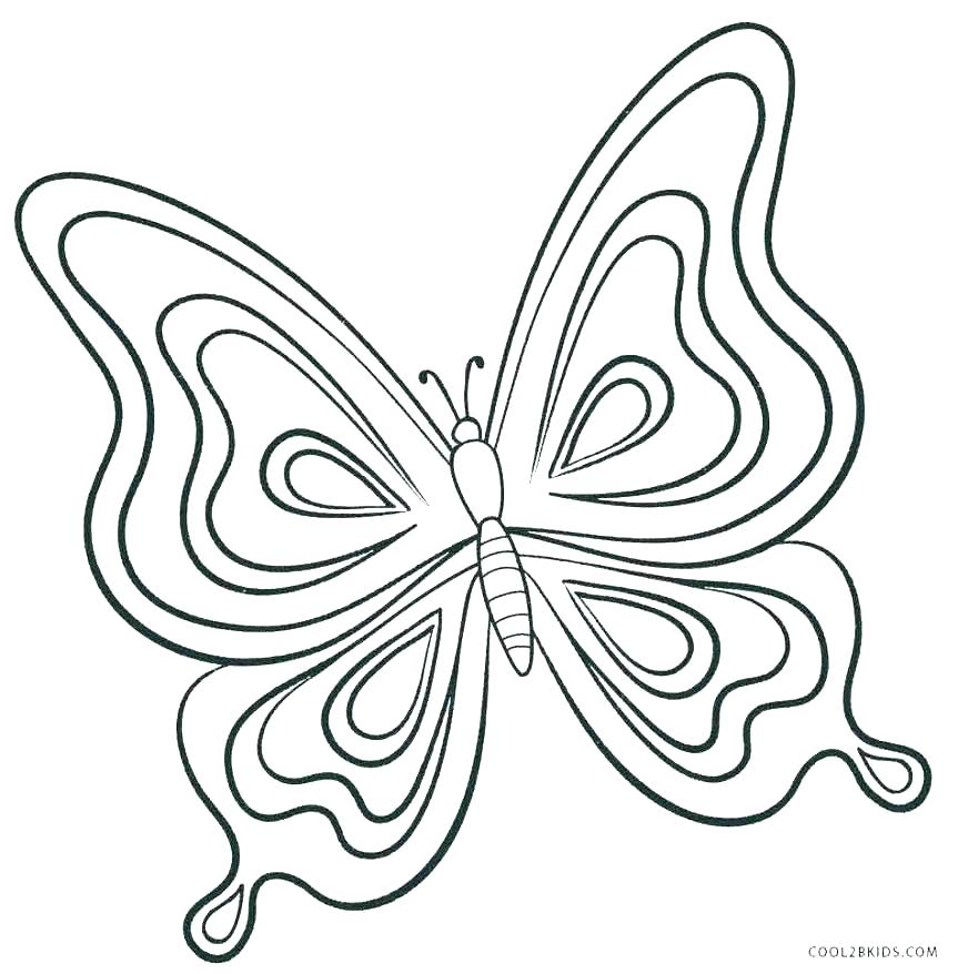 863x878 Butterfly Color Page With Butterfly Color Page Butterfly Coloring
