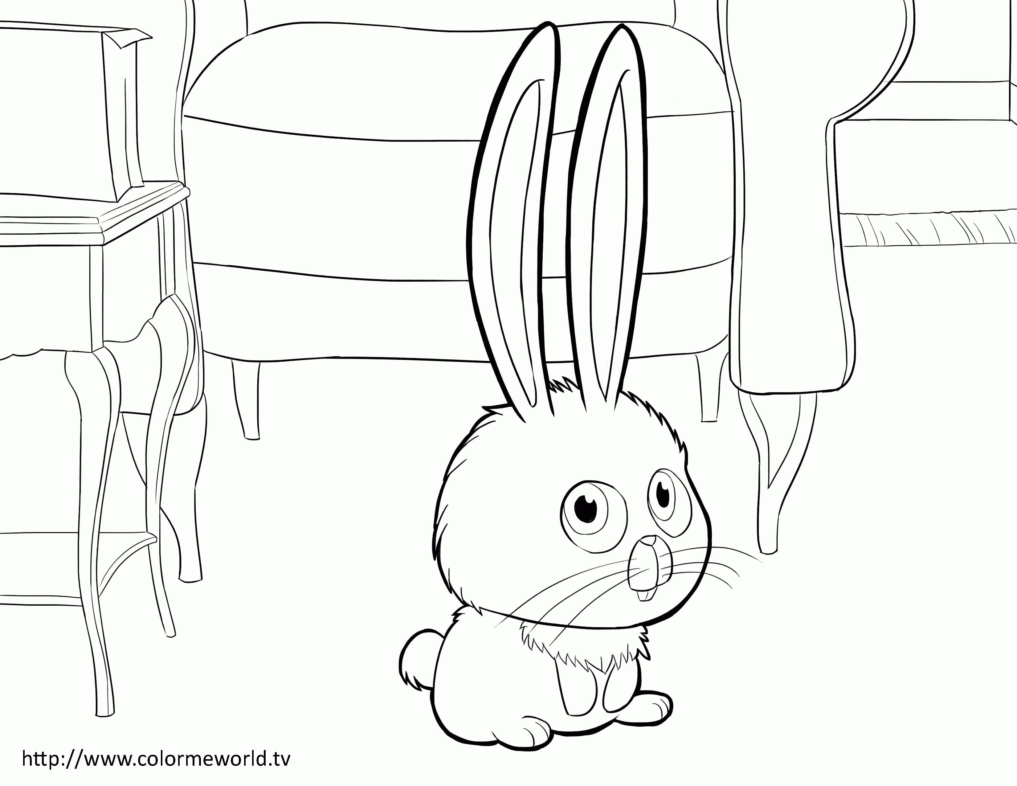 3300x2550 Secret Life Of Pets Coloring Pages