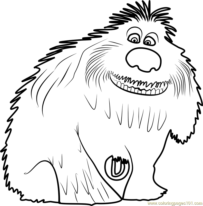 791x800 The Secret Life Of Pets Coloring Pages