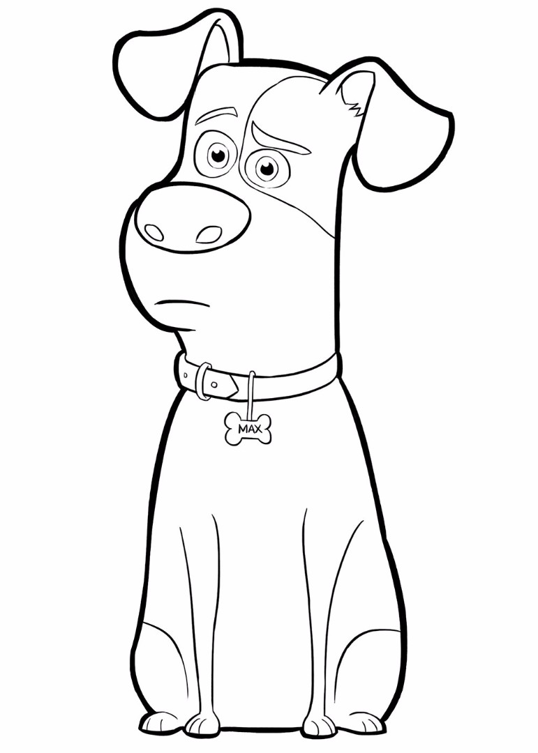771x1080 The Secret Life Of Pets Coloring Pages