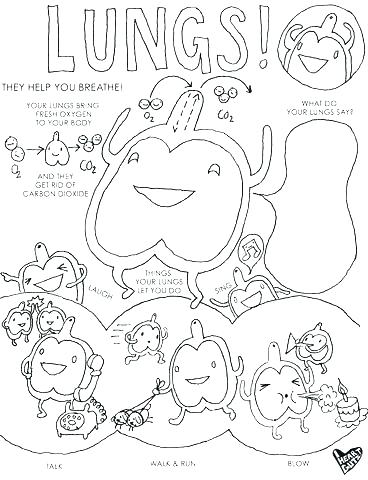 368x480 Science Coloring Book Coloring Pages Coloring Pages Life Science