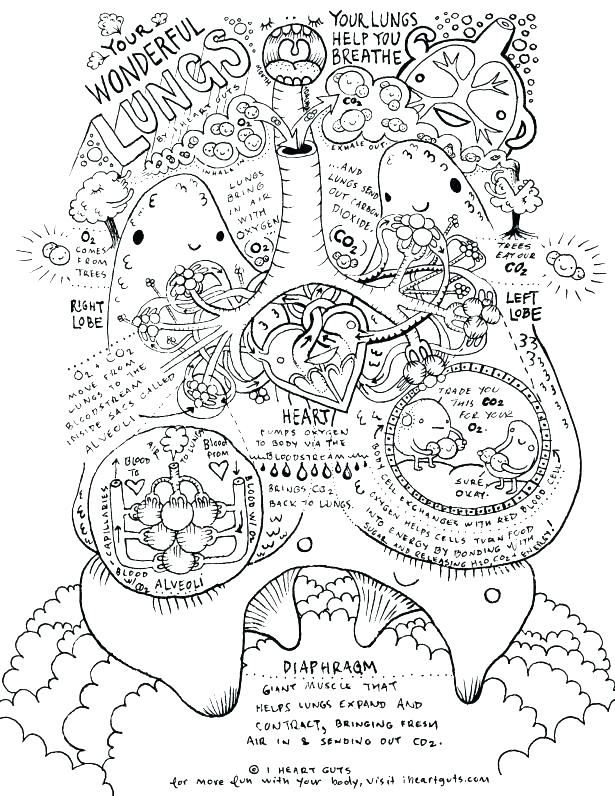 615x796 Science Coloring Pages Cool Science Coloring Page Print Pages Life