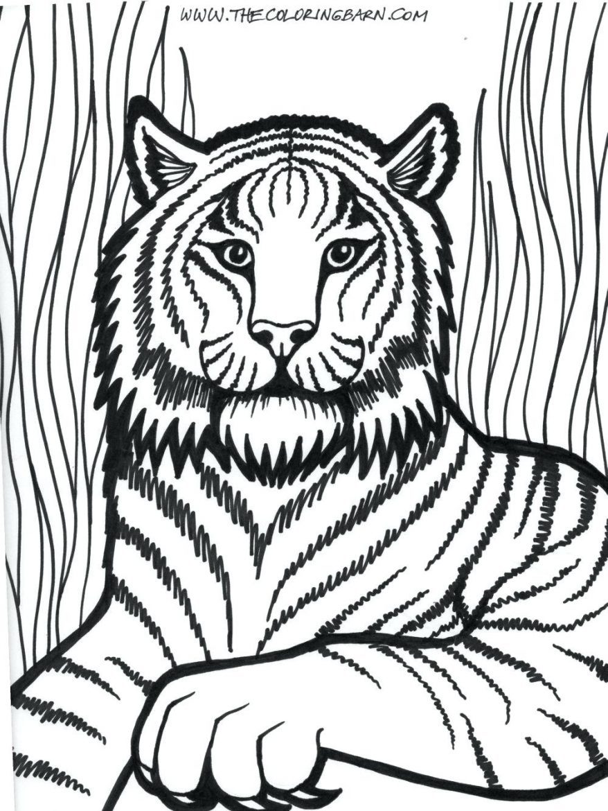 878x1170 Dorable Liger Coloring Pages Images
