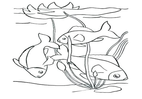 476x333 Pond Coloring Page Pond Coloring Pages Preschool Happy Fish Swim