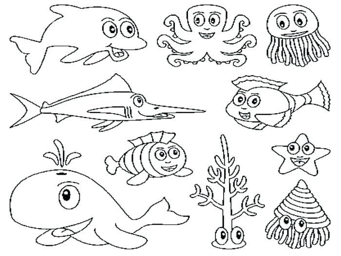700x525 Ocean Creatures Coloring Pages Marine Life Sea Colouring Preschool