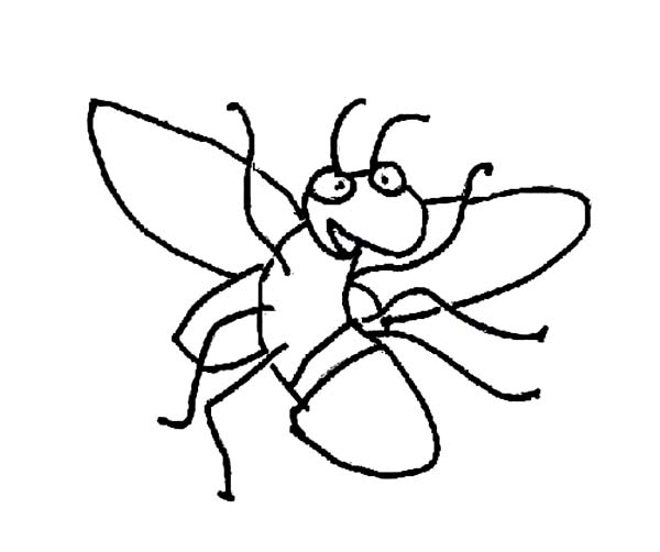 600x502 Lightning Bug Coloring Page Free Download