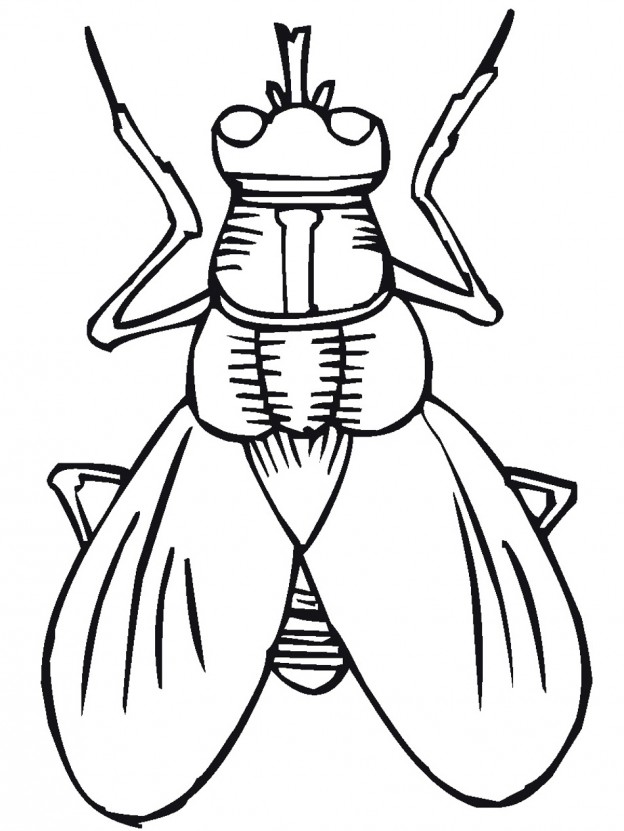 624x831 Lightning Coloring Pages Many Interesting Cliparts
