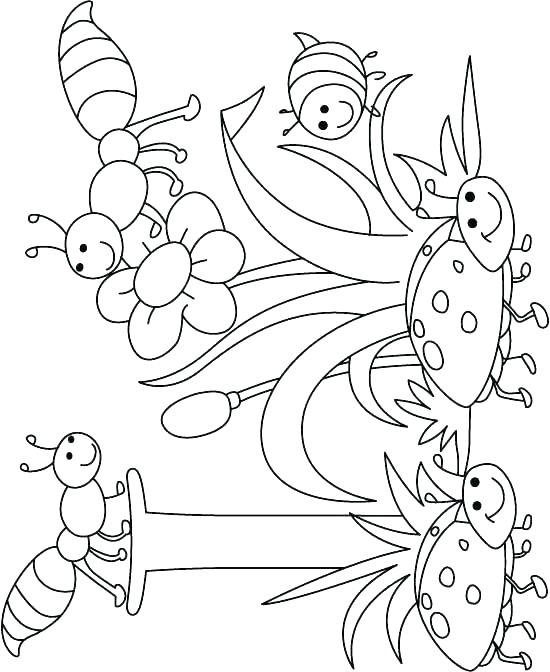 550x672 Bug Coloring Sheet