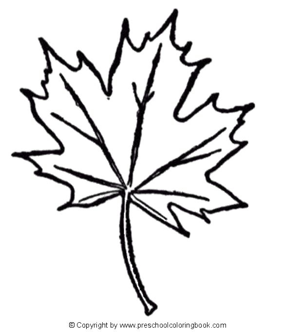 579x680 Leaf Coloring Pages Inspirational Lilac Flowers Coloring Pages