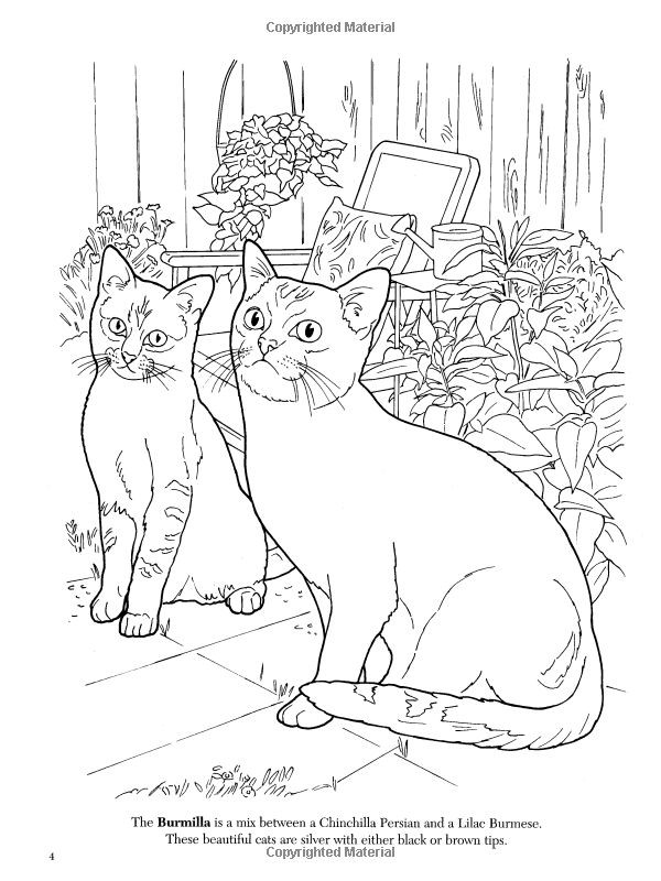 600x800 Nature Cat Coloring Pages Luxury Top Free Printable Cat