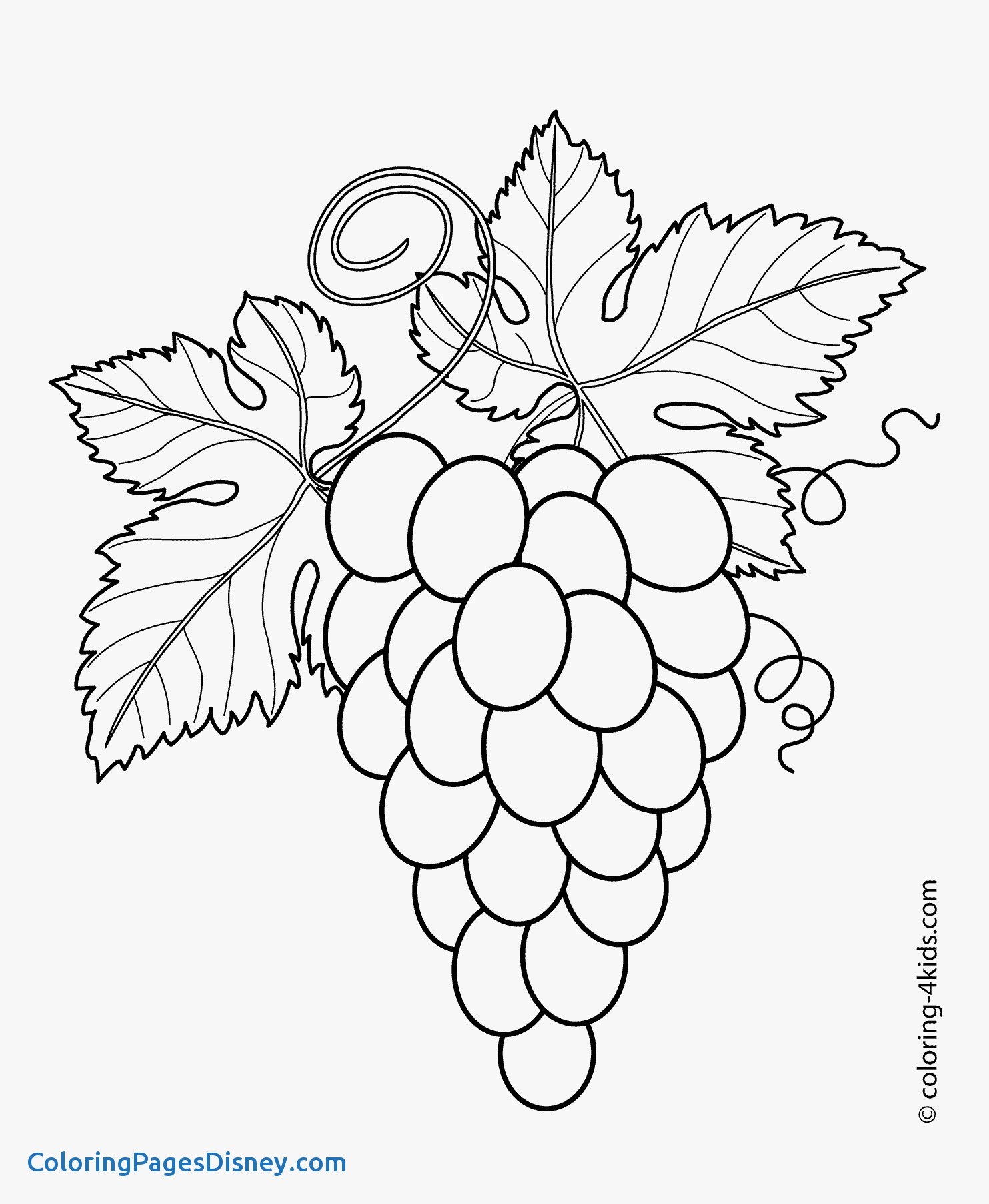 1483x1804 Syringa Lilac Coloring Pages Fresh Flower Coloring Pages Lilac