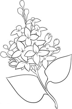 236x357 Flower Page Printable Coloring Sheets Spring Flower