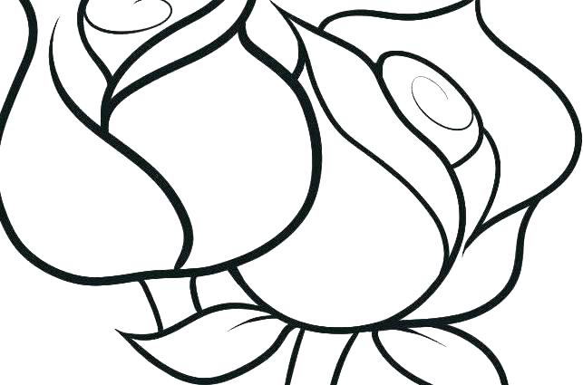 643x425 Lily Coloring Pages Water Lily Coloring Sheets Color Page Flower