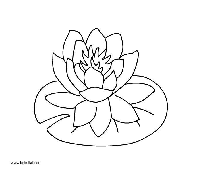 700x600 Printable Coloring Pages, Dot The Dot