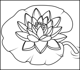 256x226 Water Lily
