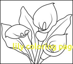 236x208 Lily Coloring Pages Free Archives