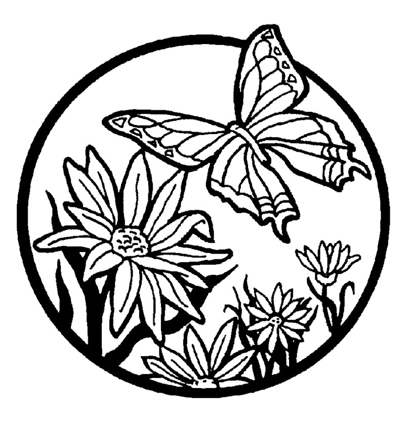800x836 Flowers Coloring Pages Lily Flower Coloring Page Kids Coloring