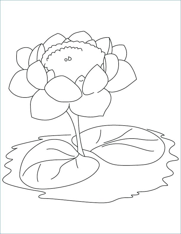 612x792 Lily Pad Flower Coloring Pages Lotus With Two Leaves Coloring Page