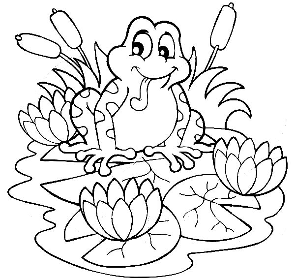 600x569 Frog On Lily Pad Coloring Page Frog Sitting On Lilypads And Lotus