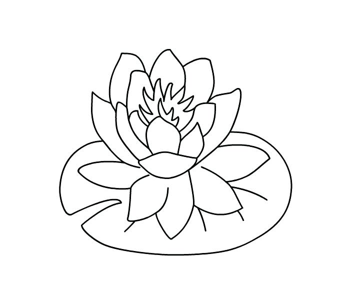 700x600 Calla Lily Coloring Pages Calla Lilly Applique Printable Coloring