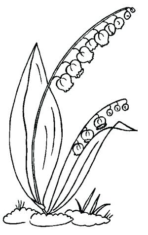 300x475 Lily Of The Valley Coloring Page Lily Of The Valley Coloring Page