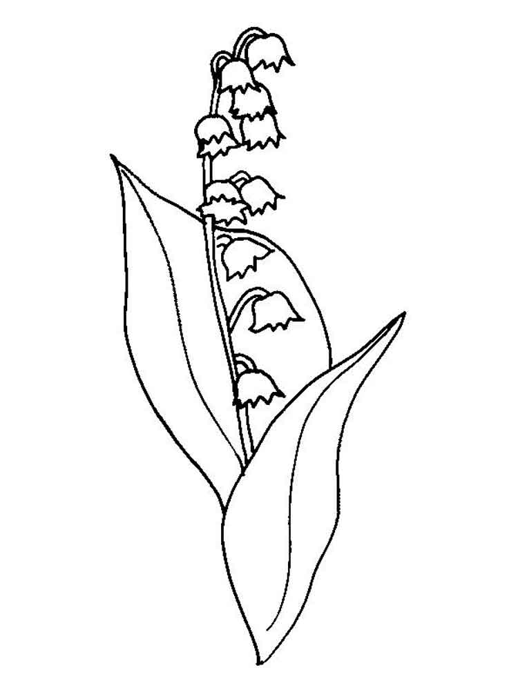 750x1000 Lily Valley Coloring Pages Download And Print Lily