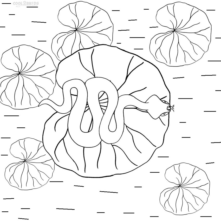 850x850 Printable Lily Pad Coloring Pages For Kids