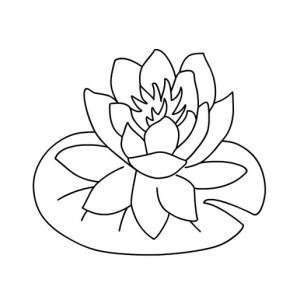 300x300 Drawing Frog On Lily Pad Coloring Page Color Luna