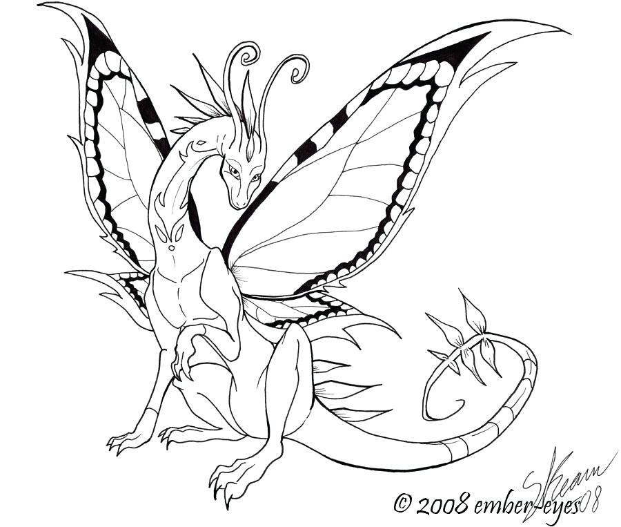 900x763 Butterfly Dragon Line Art