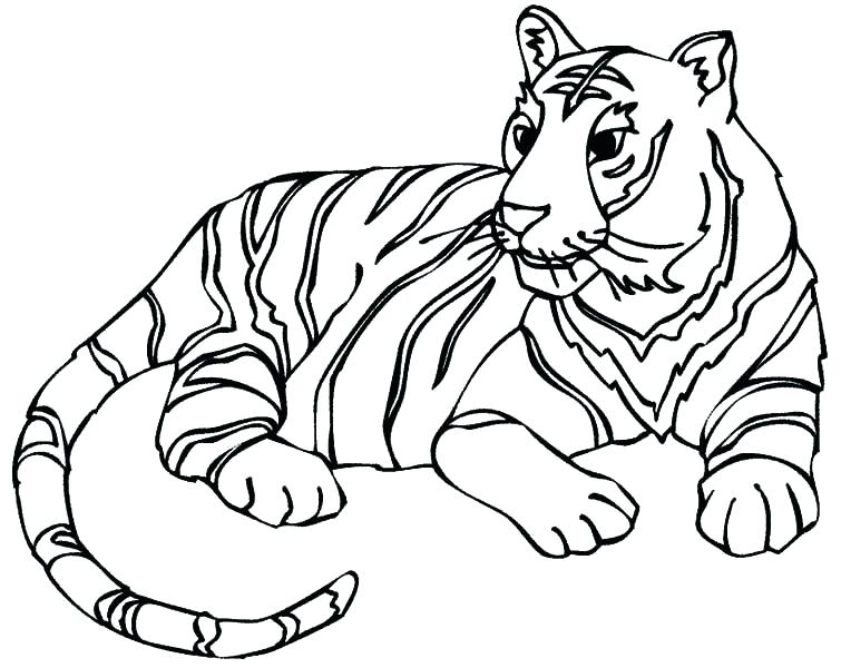 755x600 Printable Tiger Coloring Pages Tiger Face Coloring Page Lion