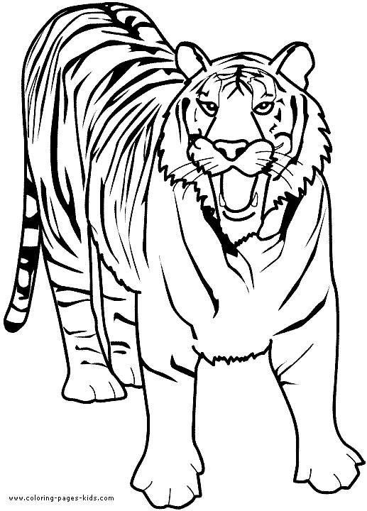517x720 Lion Color Page,  Tiger Color Page,  Plate,  Coloring Sheet, Printable