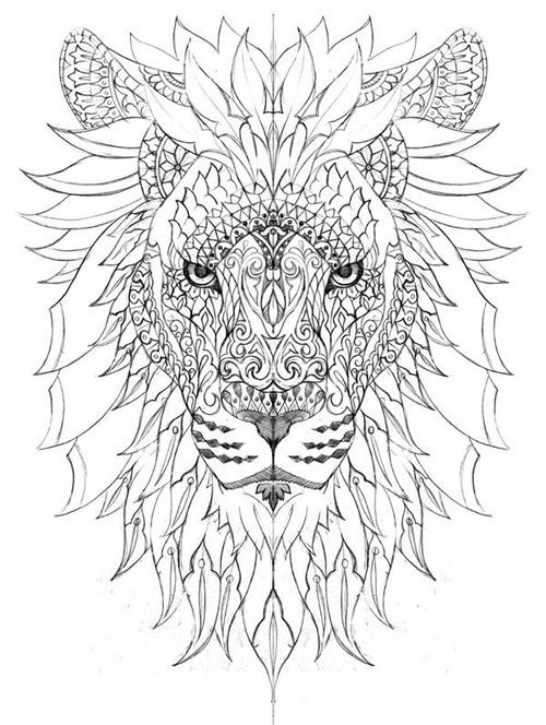 500x664 Best Lion Calavera Images On Coloring Pages, Adult