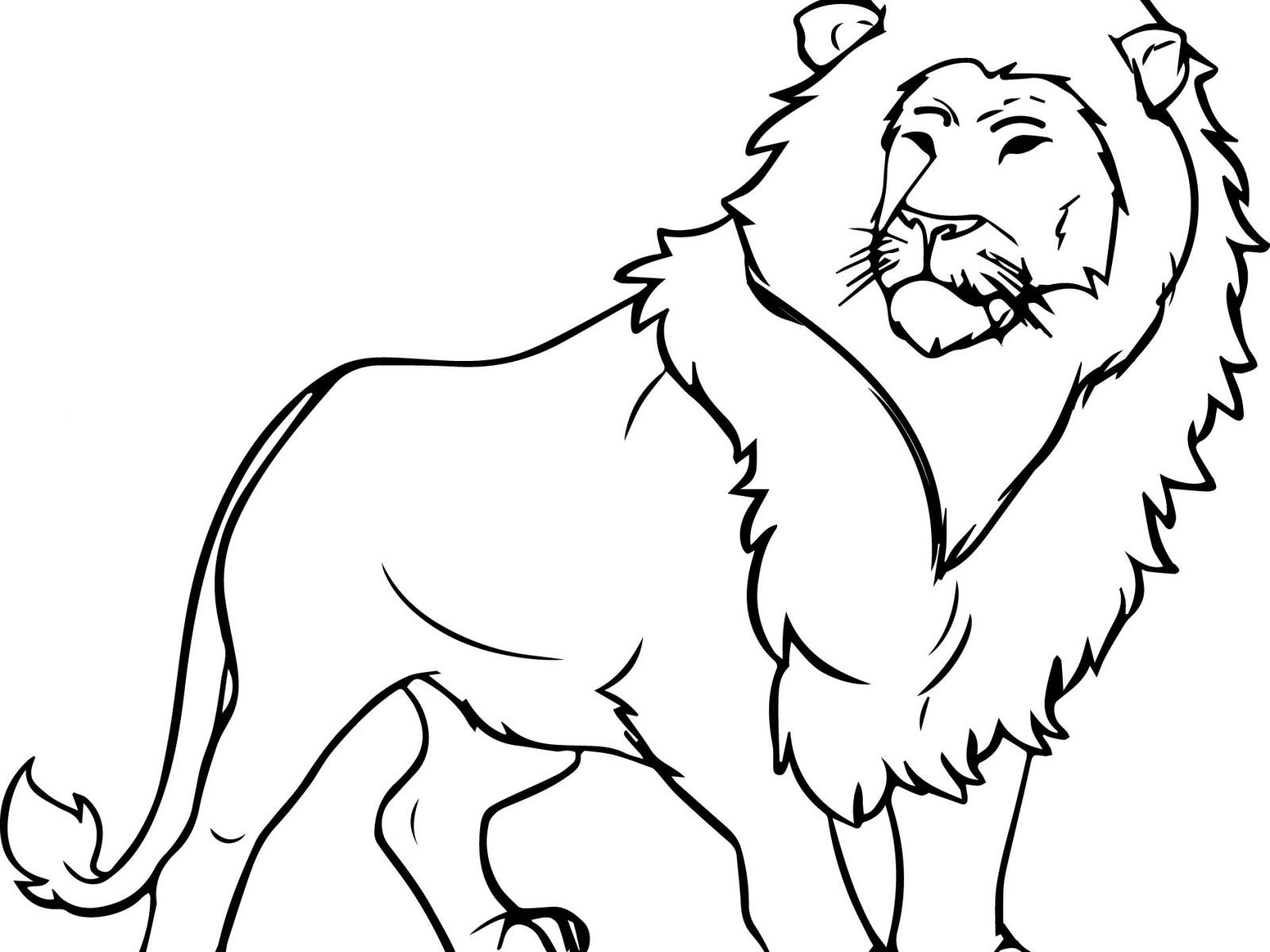 1600x1200 Marvelous African Lion Coloring Page Printable Animals For Pics