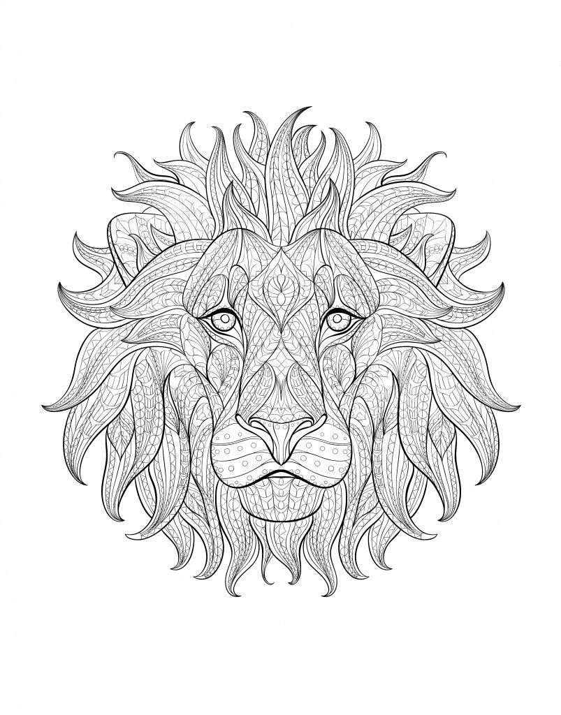 803x1024 Adult Coloring Page Lion Acpra