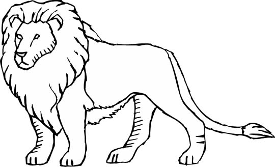 540x328 Colossal Pictures Of Lions To Color Coloring Pages Charming Lion