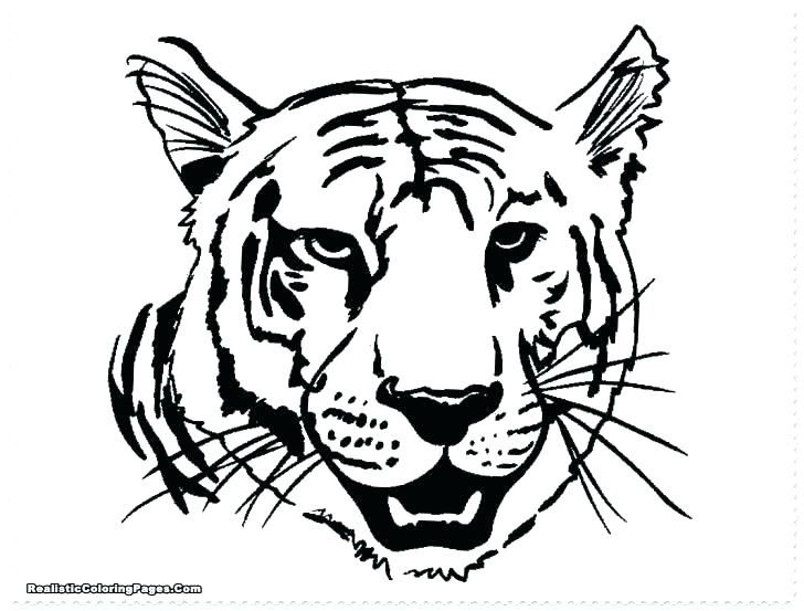 728x553 Lion Coloring Pages Printable New Lion Coloring Pages Awesome