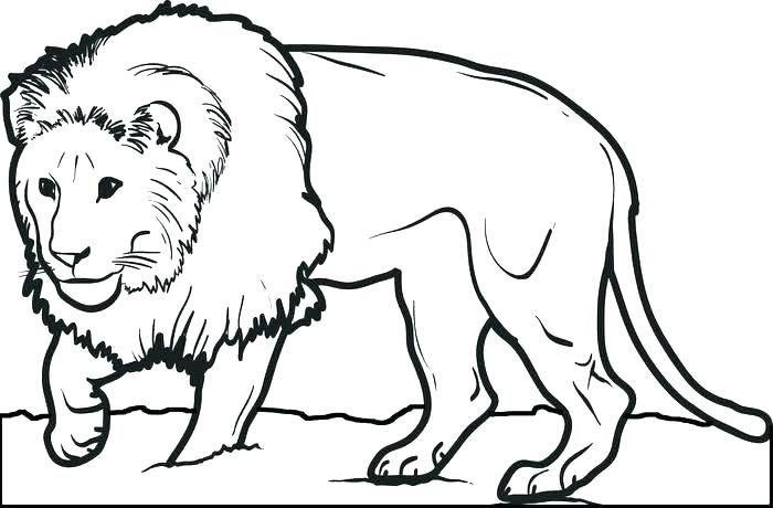 700x460 Baby Lion Colouring Pages Printable Coloring Lion Coloring Sheet